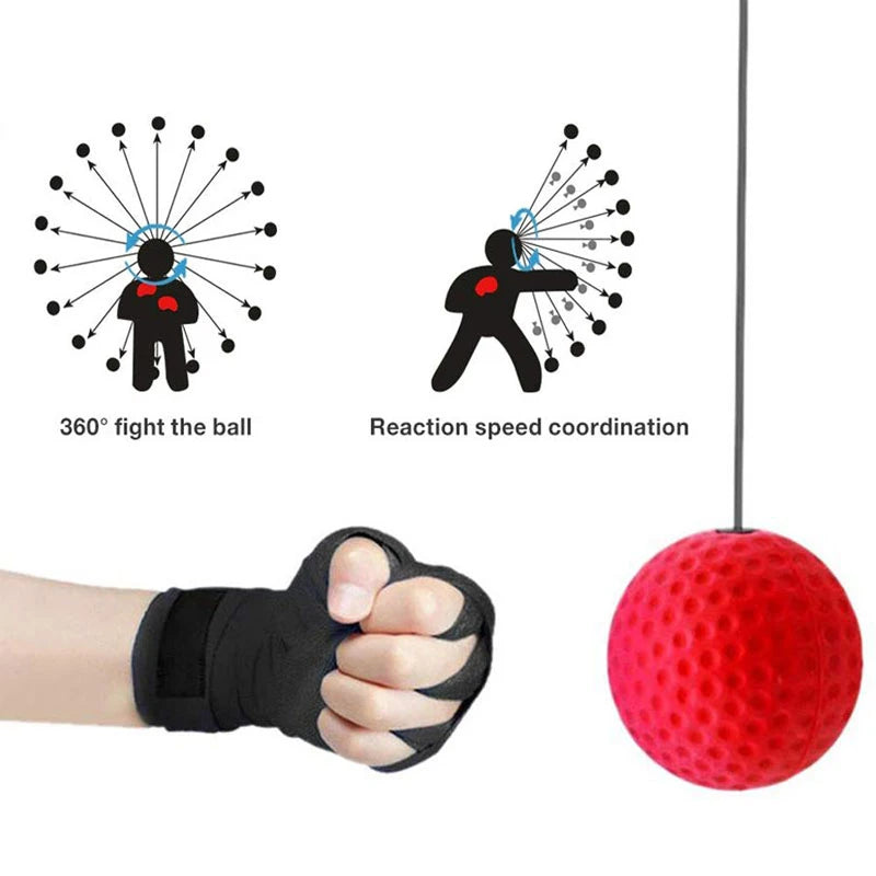 Boxing Head-mounted  Speed Ball