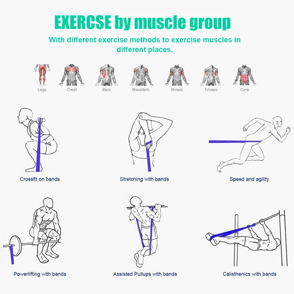 Elastic Latex Strengthening Resistance Bands