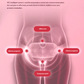 Abdominal Massage Belt